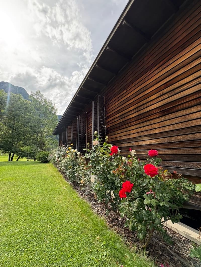 Casa di design in legno immersa nel verde (18)