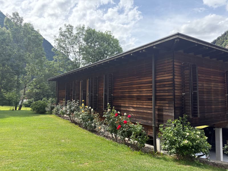 Casa di design in legno immersa nel verde (2)