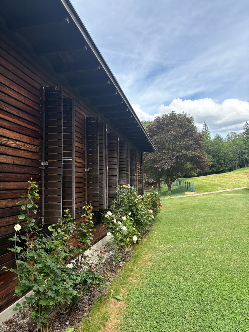Casa di design in legno immersa nel verde (19)