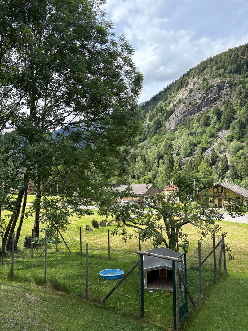 Casa di design in legno immersa nel verde (17)