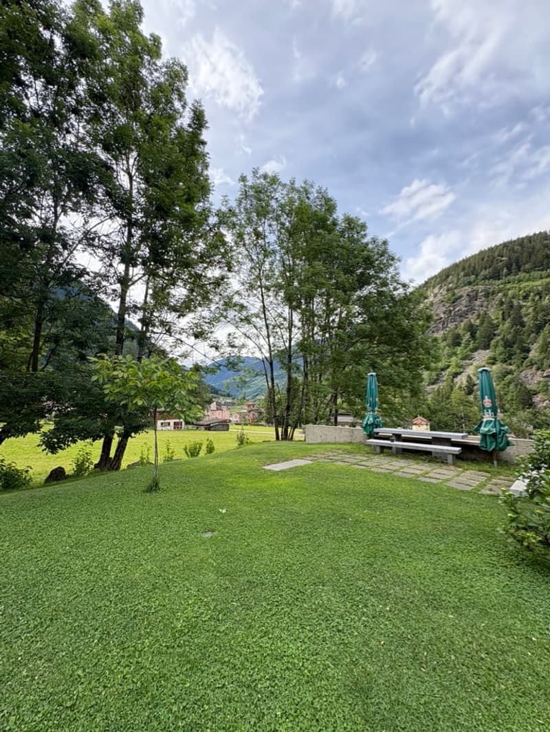 Casa di design in legno immersa nel verde (15)