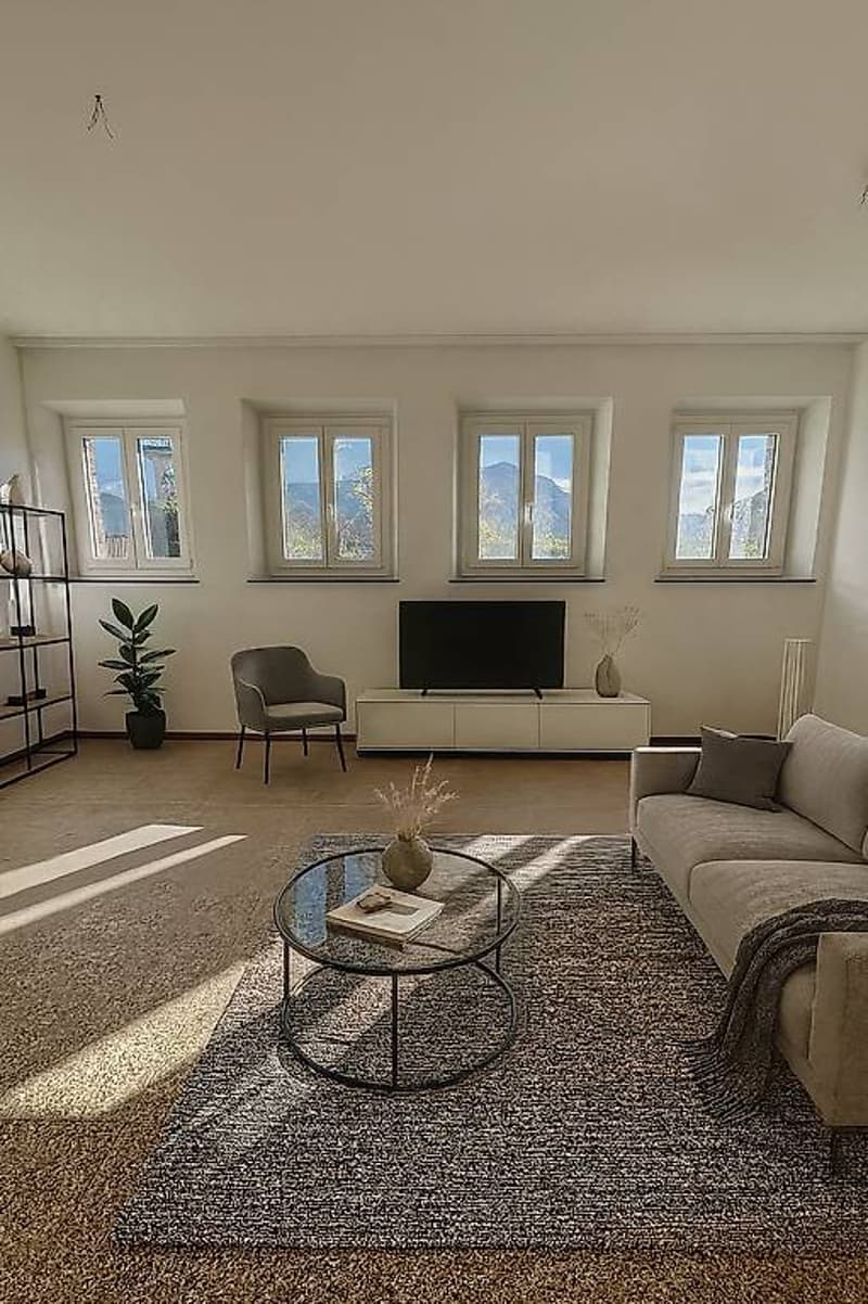 Large living room with carpet, beige sofa, coffee table, TV on the white console, large windows, beige chair, and potted plants