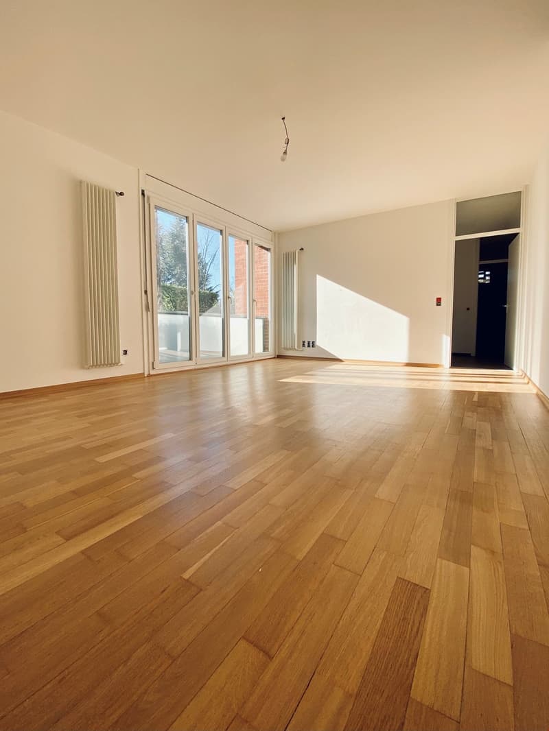 empty room, hardwood floors, sliding glass doors, white walls, white radiators, ceiling lamp