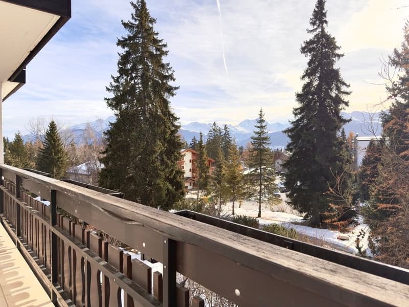 wooden railing, wooden floor, view of snowy mountains and trees