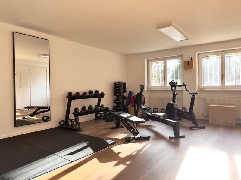 Home gym with various exercise equipment, including dumbbells, bench, and exercise bikes, along with a mirror and wooden flooring.