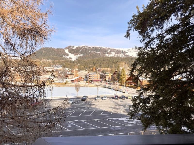 Aerial view of a parking lot with several cars parked, surrounded by trees and a snowy mountain in the background.