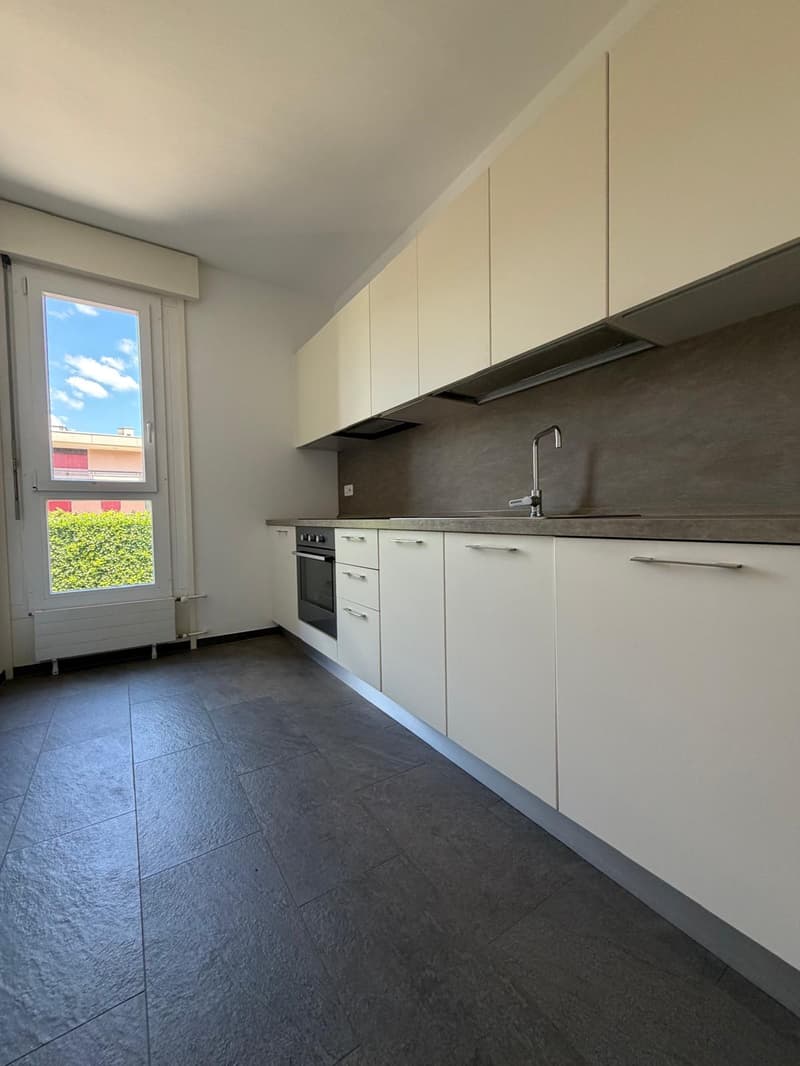 Luminoso appartamento di 4.5 locali con balcone a Pregassona (2)