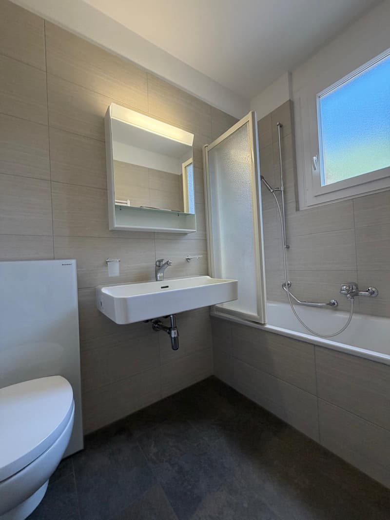 Luminoso appartamento di 4.5 locali con balcone a Pregassona (9)