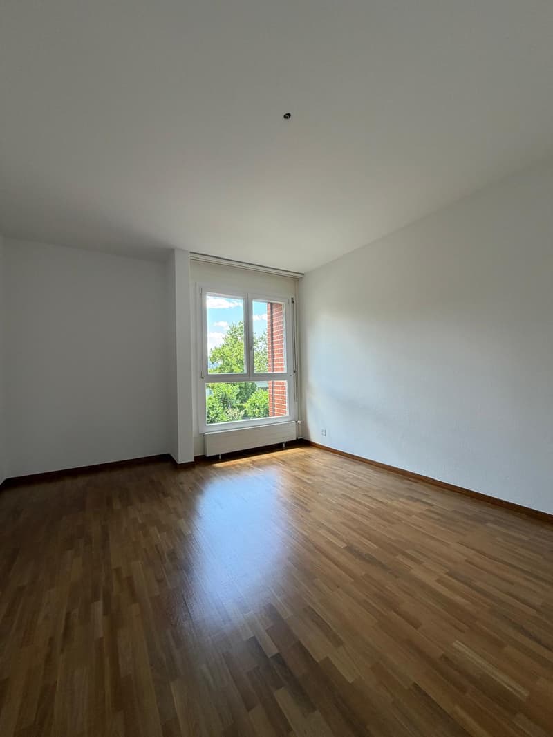 Luminoso appartamento di 4.5 locali con balcone a Pregassona (7)