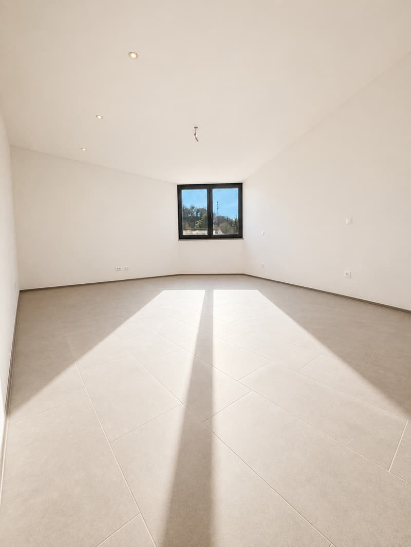 Arosio - New single-family house between nature and architecture (7)