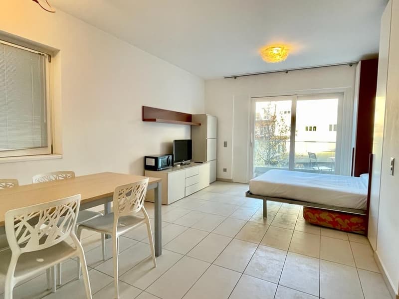 dining table, 4 chairs, TV, single bed, microwave, cabinets, sliding doors, terrace with chairs and table