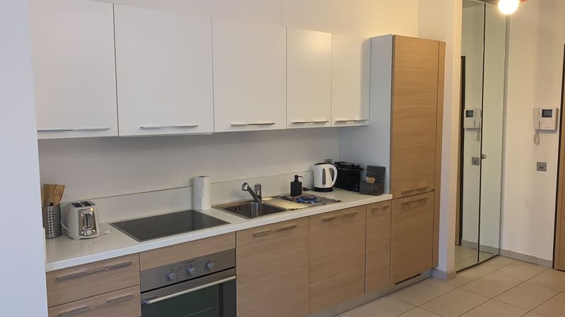 modern design, gas stove, dishwasher, washing machine, white and wooden cabinets