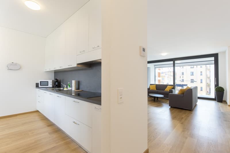 modern kitchen with white cabinets, black countertops, electric stove, modern living room with gray sofa, round coffee table, large windows, potted plant
