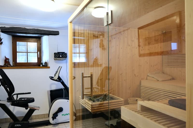 Bright charming house in Gordola in residential area. (10)