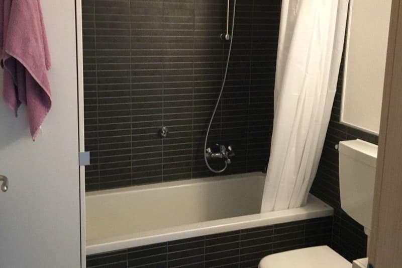 2.5-room apartment on the top floor with open view (10)