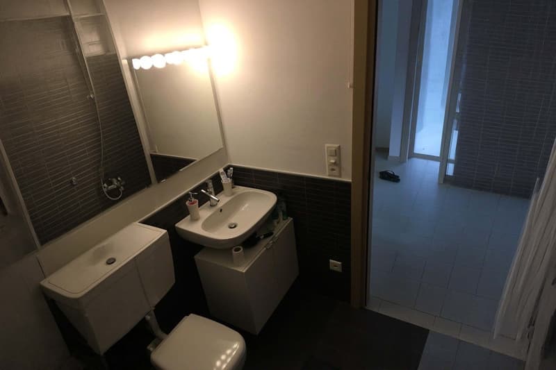 2.5-room apartment on the top floor with open view (9)