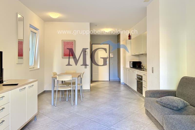 Appartement mit Garten, nur wenige Schritte vom Luganer See entfernt. (1)