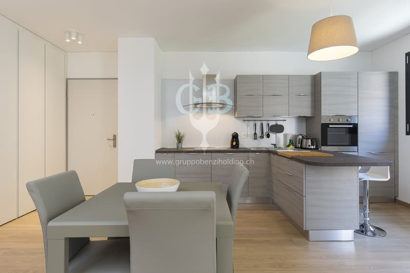 Wohnung mit 3,5 Zimmern, zentral und nahe den Universitäten von Lugano (4)