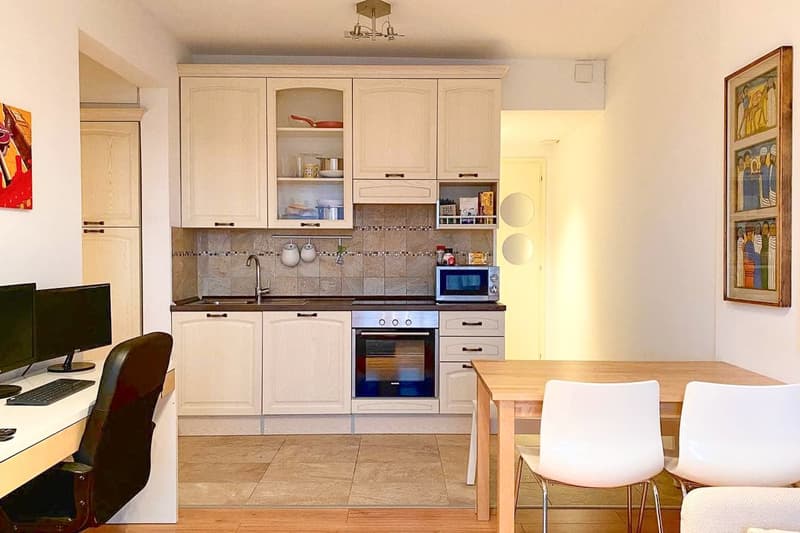 Apartment with income of 2.5 rooms near the University of Lugano (5)