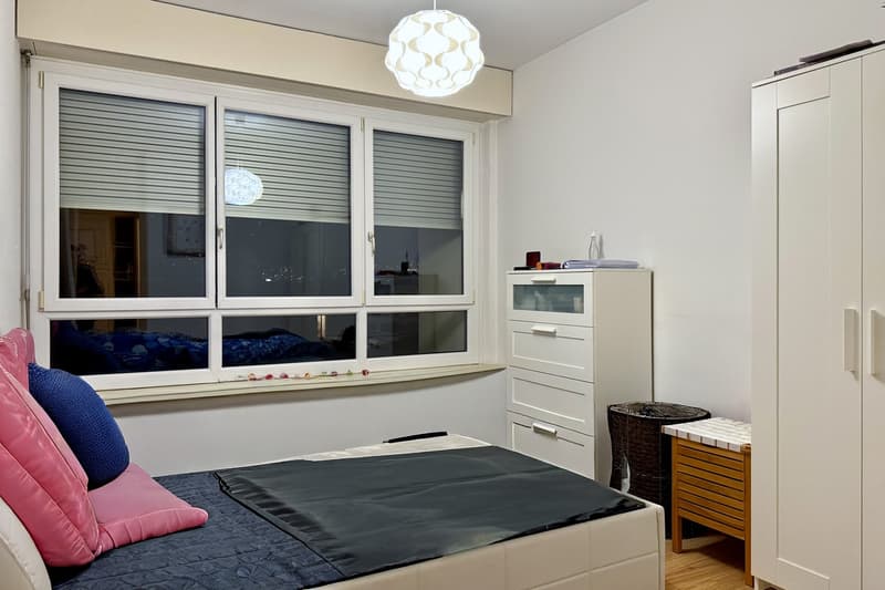 Apartment with income of 2.5 rooms near the University of Lugano (9)