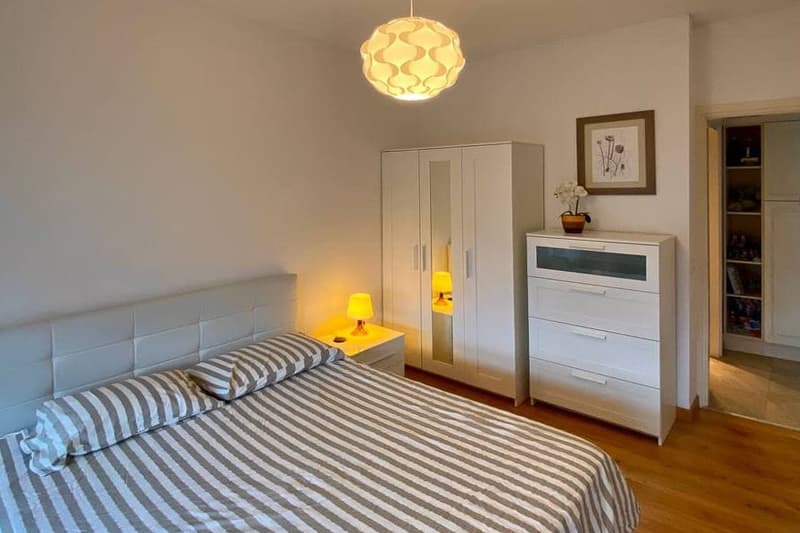 Apartment with income of 2.5 rooms near the University of Lugano (6)