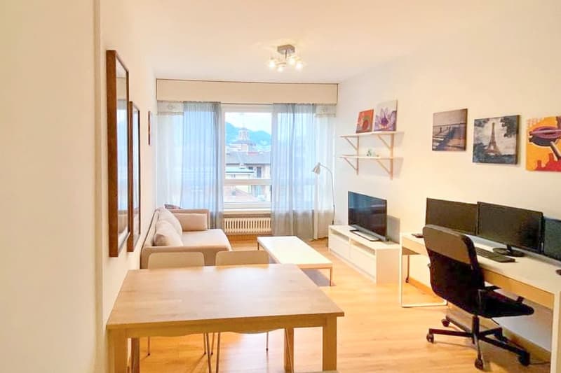 Apartment with income of 2.5 rooms near the University of Lugano (1)