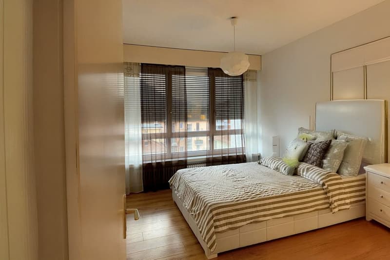 Apartment with income of 2.5 rooms near the University of Lugano (7)