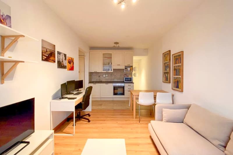 Apartment with income of 2.5 rooms near the University of Lugano (3)