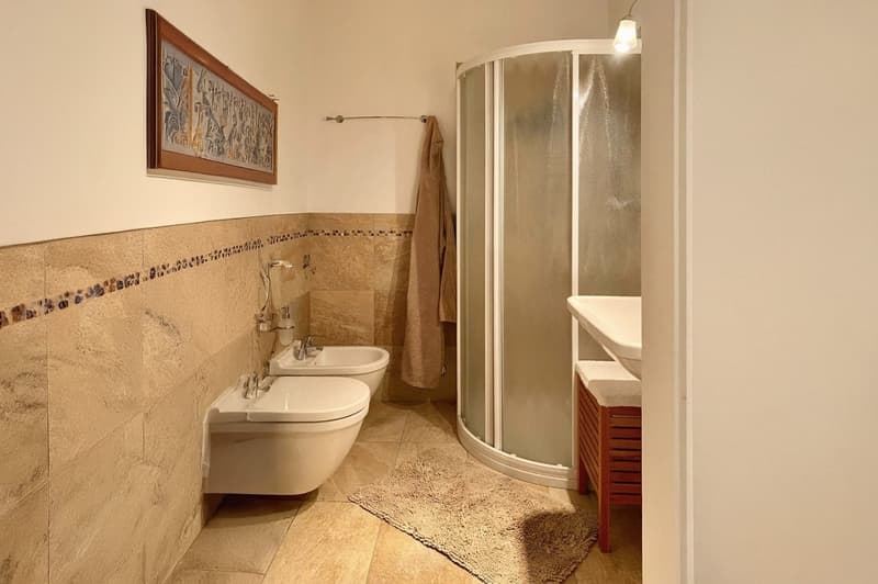Apartment with income of 2.5 rooms near the University of Lugano (8)