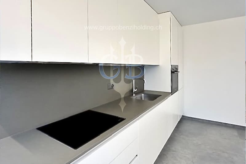 DIRECTLY FROM THE DEVELOPER - New 2.5-room apartment for rent (4)