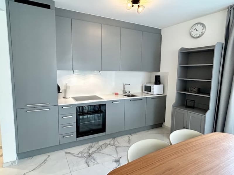 Penthouse with rooftop - furnished and available immediately (16)