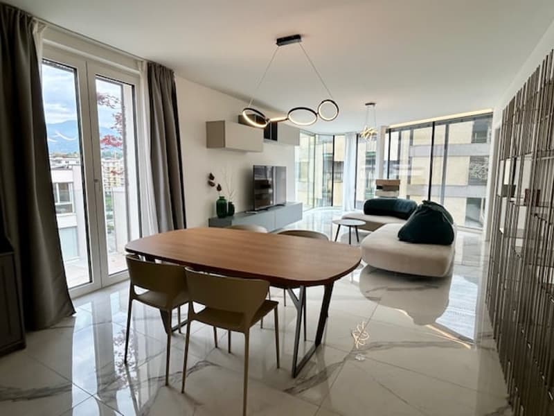 Penthouse with rooftop - furnished and available immediately (1)