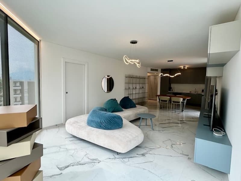 Penthouse with rooftop - furnished and available immediately (3)