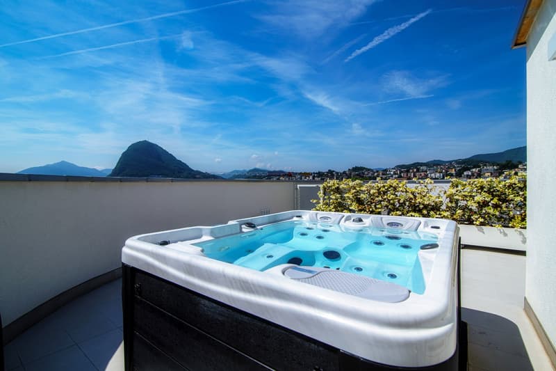 Penthouse with rooftop - furnished and available immediately (4)