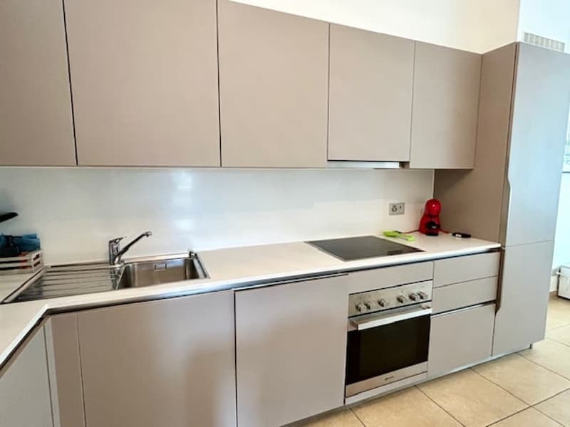 Zona Cassarate - 3,5 Zimmer möbliert (12)