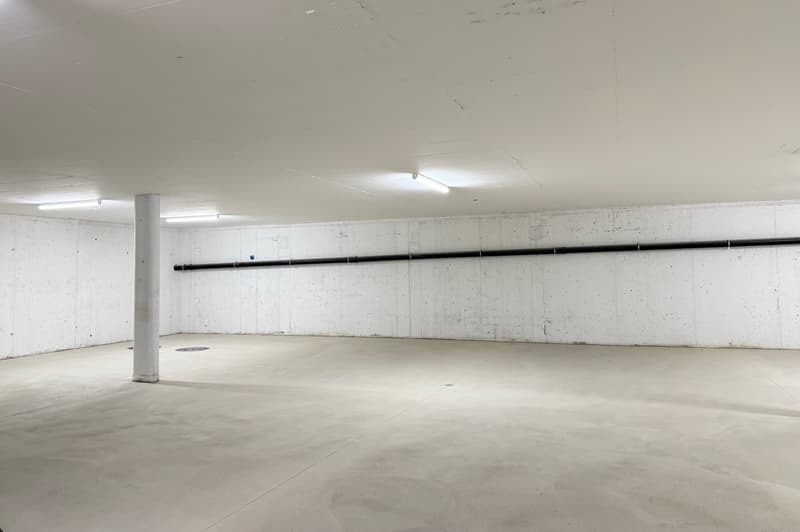 DIRECTEMENT DU PROMOTEUR - Giubiasco - 3,5 pièces avec jardin (19)