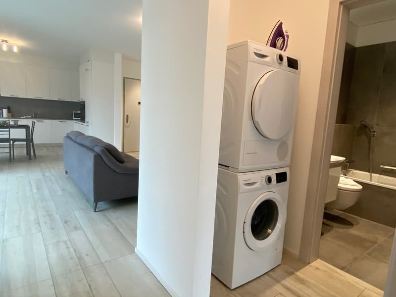 ELEGANTE 3.5 LOCALI ARREDATO CON PARCHEGGIO PRIVATO (8)