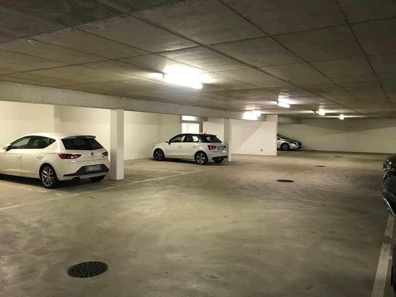 Abitazione ammobiliata a Lugano in zona centrale (7)