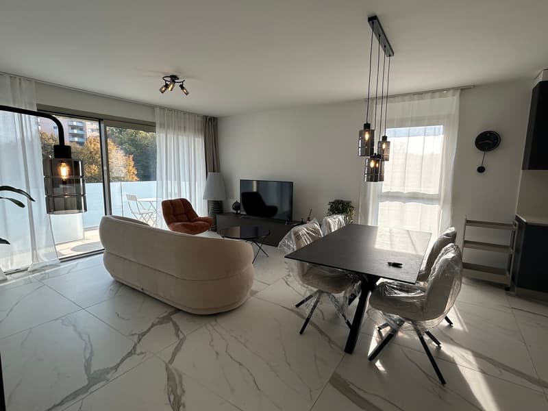Elegante appartamento con terrazza rooftop a Massagno – Disponibile subito (18)