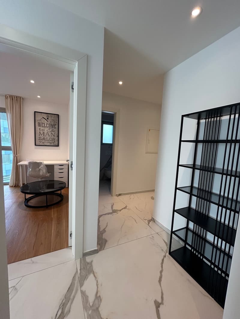 Elegante appartamento con terrazza rooftop a Massagno – Disponibile subito (19)