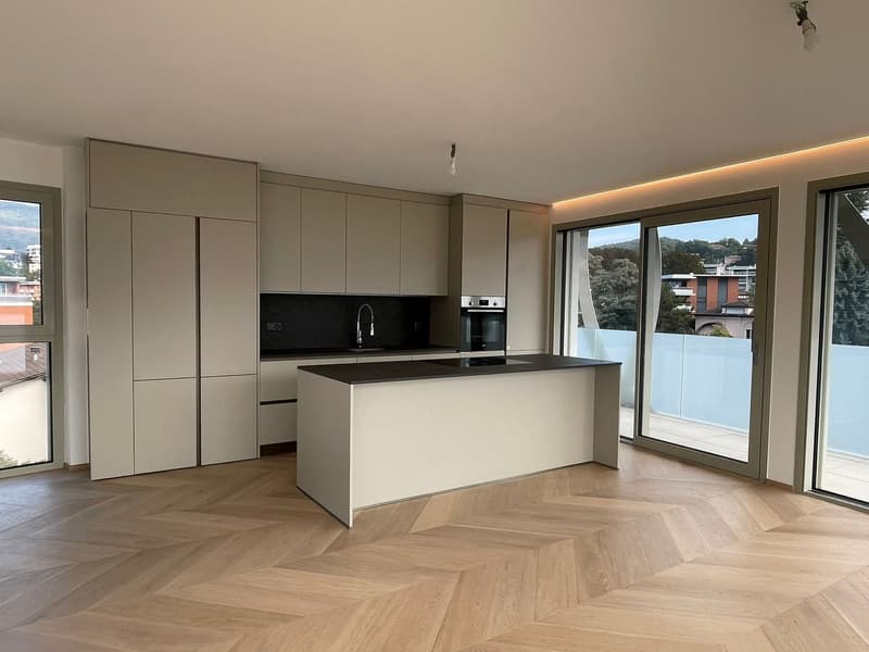 Attico di lusso con terrazza e jacuzzi a Massagno – Disponibile subito (13)
