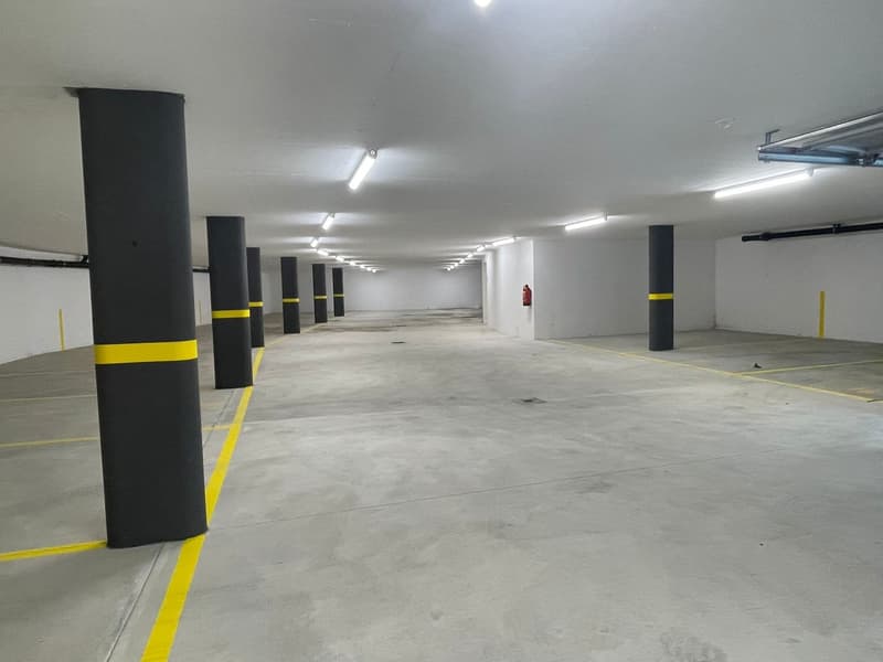 Attico di lusso con terrazza e jacuzzi a Massagno – Disponibile subito (9)