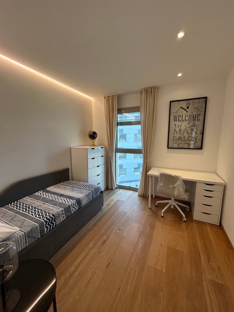Elegante appartamento con terrazza rooftop a Massagno – Disponibile subito (21)