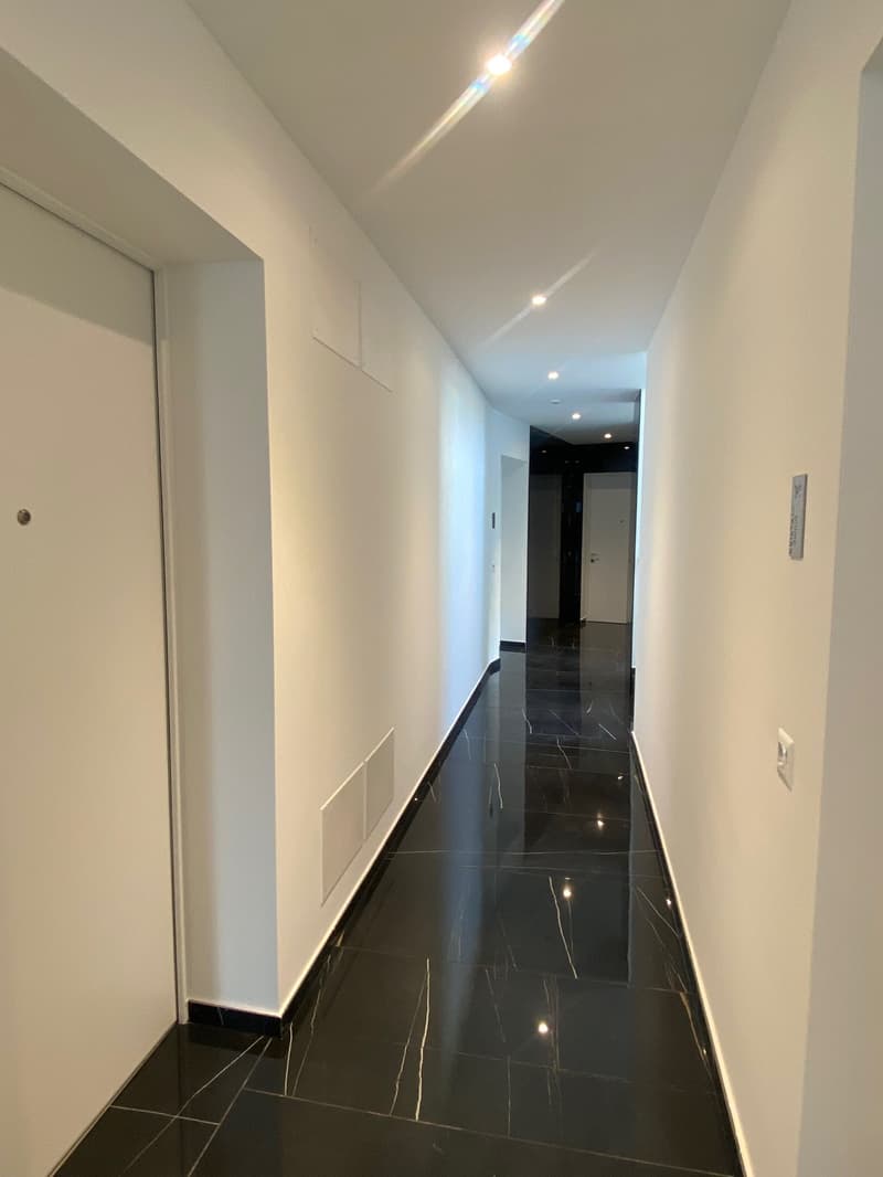 Attico di lusso con terrazza e jacuzzi a Massagno – Disponibile subito (7)