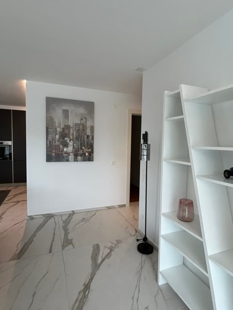 Elegante appartamento con terrazza rooftop a Massagno – Disponibile subito (25)