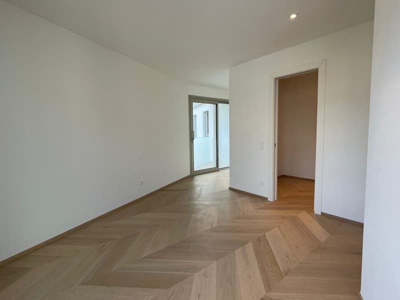 Attico di lusso con terrazza e jacuzzi a Massagno – Disponibile subito (22)