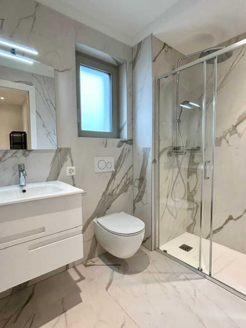 Elegante appartamento con terrazza rooftop a Massagno – Disponibile subito (22)