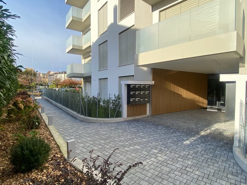 Attico di lusso con terrazza e jacuzzi a Massagno – Disponibile subito (5)