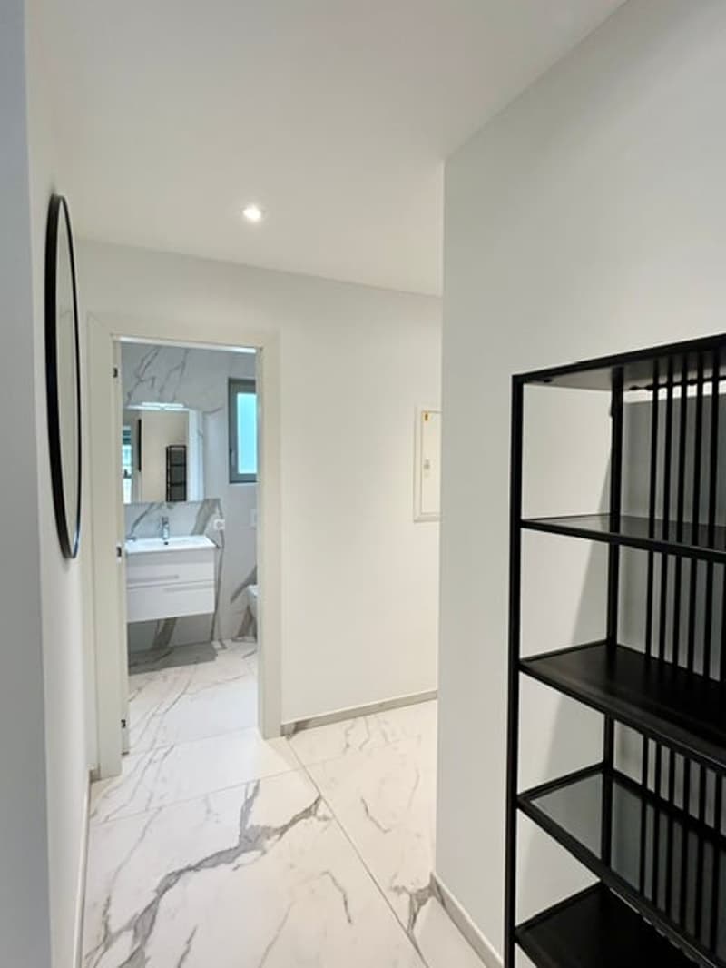 Elegante appartamento con terrazza rooftop a Massagno – Disponibile subito (29)