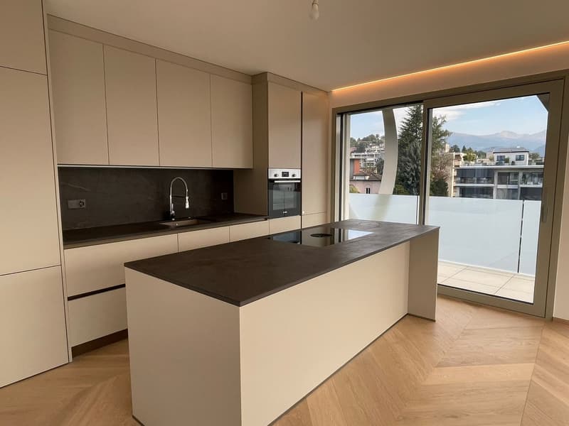 Attico di lusso con terrazza e jacuzzi a Massagno – Disponibile subito (14)